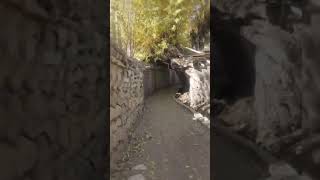 Ladakh alleyway #leh #ladakh