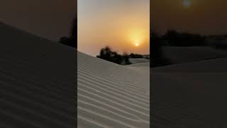 Rajasthan | Sunset in a desert | Desert National Park | A bug in a sand dune | Travel in India 🇮🇳