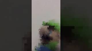 luigi fricking dies