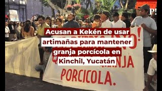 Acusan a Kekén de usar artimañas para mantener granja porcícola en Kinchil, Yucatán