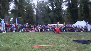 Dreynschlag Purgstall 2012 Aufnahme NUR Harry.mp4