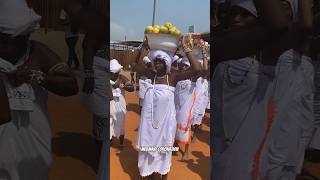 African Coronation Ceremony #shorts  #culturalheritage #spiritualjourney #africa #vlog #ceremony