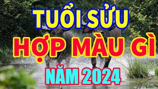 Tuổi Sửu hợp màu gì năm 2024 để mang lại may mắn tài lộc I tuổi sửu kỵ màu gì nhất