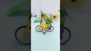 How to learn cycle ♥️♥️♥️#viral #love #shorts