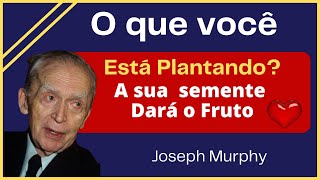 O Que Você Está Plantando? A Sua Semente Dará O Seu Fruto. Joseph Murphy