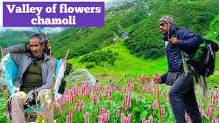 Valley of Flowers Chamoli Uttarakhand 🔥 || Heaven On Earth