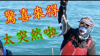 【香港釣魚】《驚喜來得大突然啦》