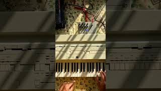 Bontempi Organ Eclipse, Microcosm in ambient jam