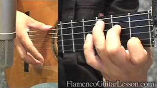 Bulerias Antiguo Sample lesson by Jose Tanaka