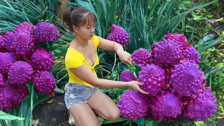 Harvesting Pumpkin and Pumpkin Flower Go To Market Sell, Cooking | Tiểu Vân Daily Life