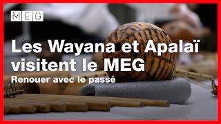 Les Wayana et les Apalaï visitent le MEG