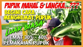 TIPS..‼️CARA HEMAT MEMAKAI PUPUK SAMPAI 50%||TIPS HOW TO SAVE A USE OF FERTILIZER