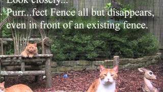 Purrfect Fence Cat Enclosure Systems