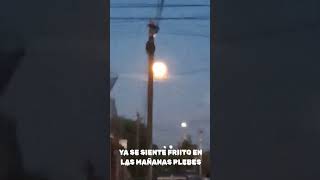 Frío en Hermosillo