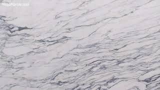 Calacatta Vision Marble Slab