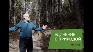 Единение с природой l Пантоцентр в Перми