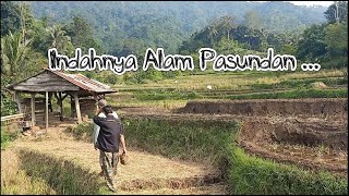 MUBENG KAMPUNG : DUKUH BUAH SINDANG HEULA / KAMPUNG NAN EKSOTIS DI BUMI SUNDA. ( KAB. BREBES )