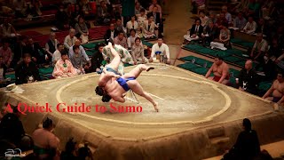 A Brief introduction to Sumo