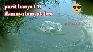 HANYA 1 M LEBAR PARIT INI TAPI ENGAK NYANGKA IKANYA BANYAK || mancing gabus_kir Yanto 77