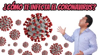 ¿Cómo te infecta el coronavirus? ¿Se puede crear una vacuna? Estudiantes de primaria y secundaria