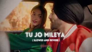 Tu Jo Mileya Slow Reverb ।। Lofi Song 🫀