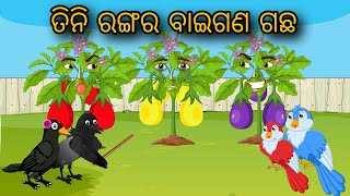 Tini Rangar Baigan Gachha | Odia Gapa | Odia Cartoon | Odia Bird Stories | Odia Chadhei Gapa