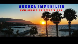 Aurora Immobilien NZ