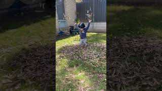 Helping dad rake up the leaves #kidsvideo #kids #spring #garden