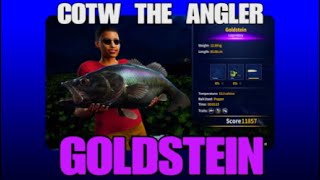 COTW THE ANGLER GOLDSTEIN LOCATION & SETUP TECHNIQUE Legendary fish Golden ridge