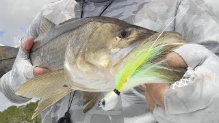 Presentación Rooster Jig 4K || Para monitores de Tiendas de Pesca.  Bucktailjig Vense