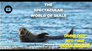 The Spectacular World of Seals: Diving Deep into Their Hidden Secrets!