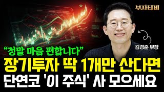 맘 편히 '이 주식' 사놓고 기다리면 큰 부가 될 겁니다. 장기 투자로 가장 좋습니다 (김경준 부장 2부)