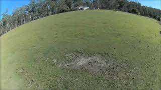 3 little  roos FPV FREE STYLE