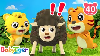 Baa Baa Black Sheep 小羊咩咩叫 +更多 | 經典兒歌 | Kids Cartoon | 貝樂虎 | BabyTiger 繁體中文 - 兒歌童謠