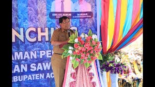 Lauching Penanaman Perdana Peremajaan sawit rakyat kabupaten Aceh Utara