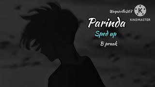 Parinda - B praak/ sped up song  lofi2024 best song Gippy Grewal, Sargun Mehta &