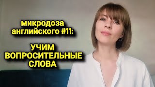 Вопросительные слова | микродоза английского #11