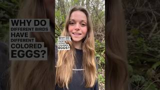 Why do birds have different colored eggs? Collab with @thenatureeducator #natureeducation