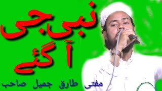 Mufti Tariq Jameel New naat 2020 | Best naat | Nabi Ji aagaye | Mufti Tariq Jameel latest naat2020