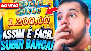 💲 FORRANDO AO VIVO NO TIGRINHO 💲