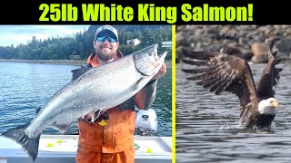 25lb White King Salmon! Alaskan King Salmon Fishing - Juneau, Alaska! JUNE 2024 #trolling #bigfish