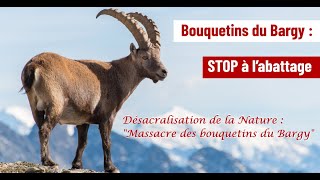 Désacralisation de la nature "Massacre des bouquetins du Bargy"