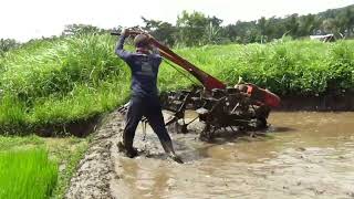 Traktor Quick G1000 Bajak Sawah Lahan Sempit