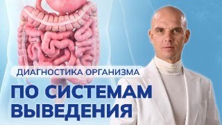 Диагностика организма по системам выведения. КИШЕЧНИК. ЧАСТЬ 7