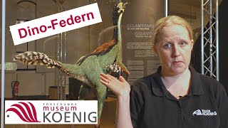 #museumkoenigzuhause -  Dinofedern und Haut