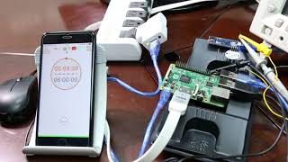 Monitor Raspberry Pi Power Consumption using GardCharge GC101