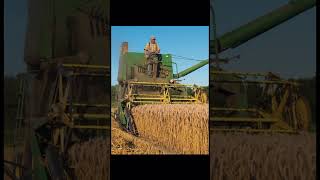 Evolution of the combine harvester #farming