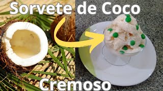 Vamos Aprender a Fazer um Sorvete de Coco?!!🍨🥥