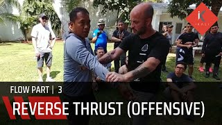 15.2 Reverse Thrust Offensive |  Filipino Martial Arts Flow Part 3