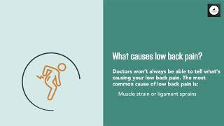 Back to Basics: Understanding, Preventing, and Treating Lower Back Pain